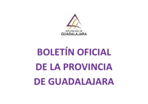 Modificación de las Bases del Plan de Empleo 2026