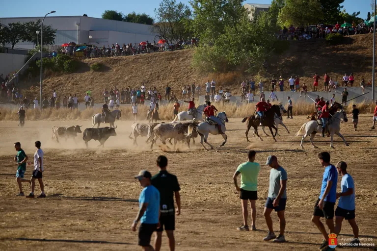 Un gran toro de Albarreal protagoniza el último encierro de Tórtola