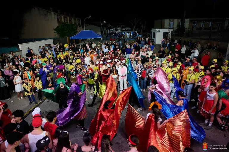 Baile, disfraces y música protagonizan una gran noche en Tórtola