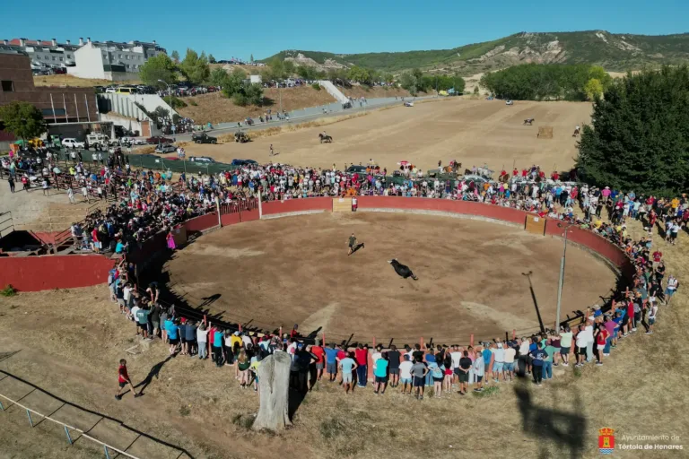 Entretenido segundo encierro por el campo en Tórtola