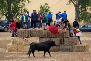El primer encierro por el campo de Tórtola se desarrolla sin incidentes