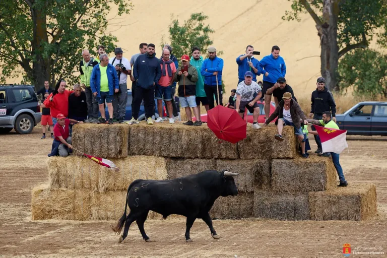 El primer encierro por el campo de Tórtola se desarrolla sin incidentes