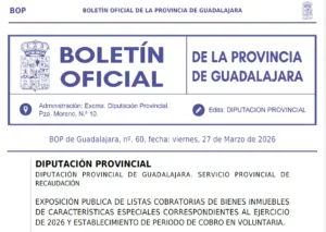 Impuesto de Bienes Inmuebles de características especiales 2026. Plazo de pago voluntario