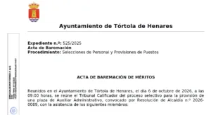 Publicada el acta de baremación de méritos del proceso selectivo para una plaza de Auxiliar Administrativo